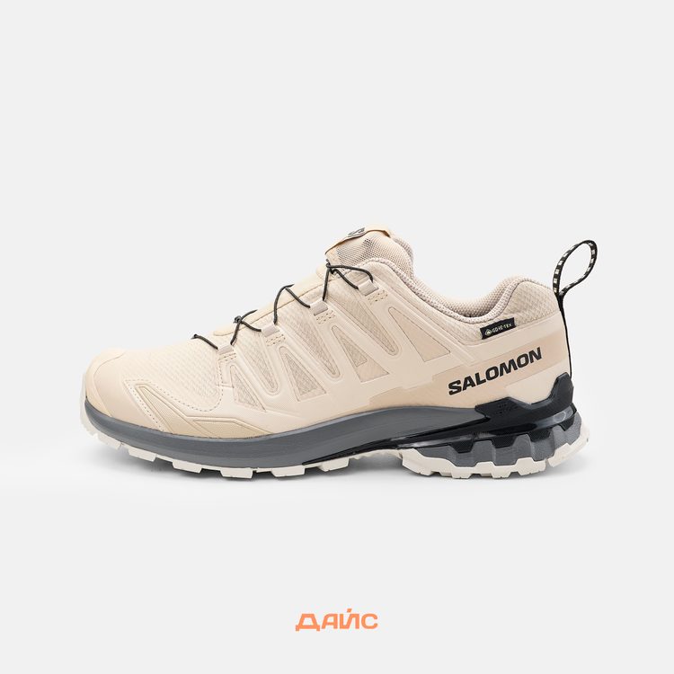 Кроссовки Salomon XA PRO 3D V9 GTX 