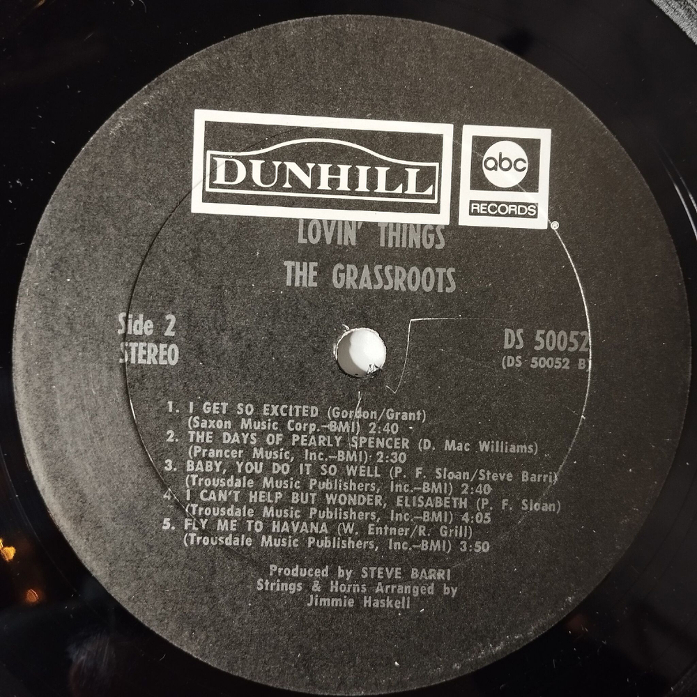 Винтажная виниловая пластинка LP The Grass Roots Lovin Things (USA 1969)