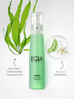 EGIA Гель очищающий Cleansing Wash Cleansing Wash 200 мл