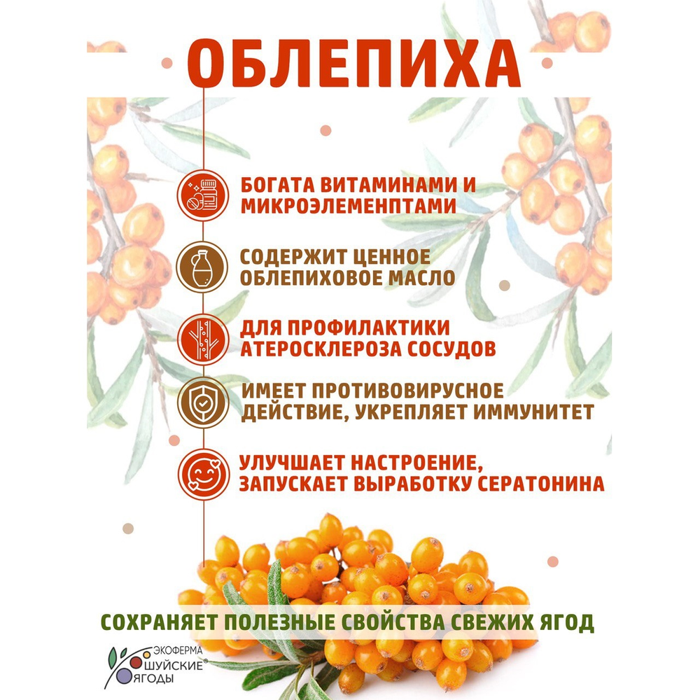 Мармелад из облепихи в шоколадной глазури, 175 г