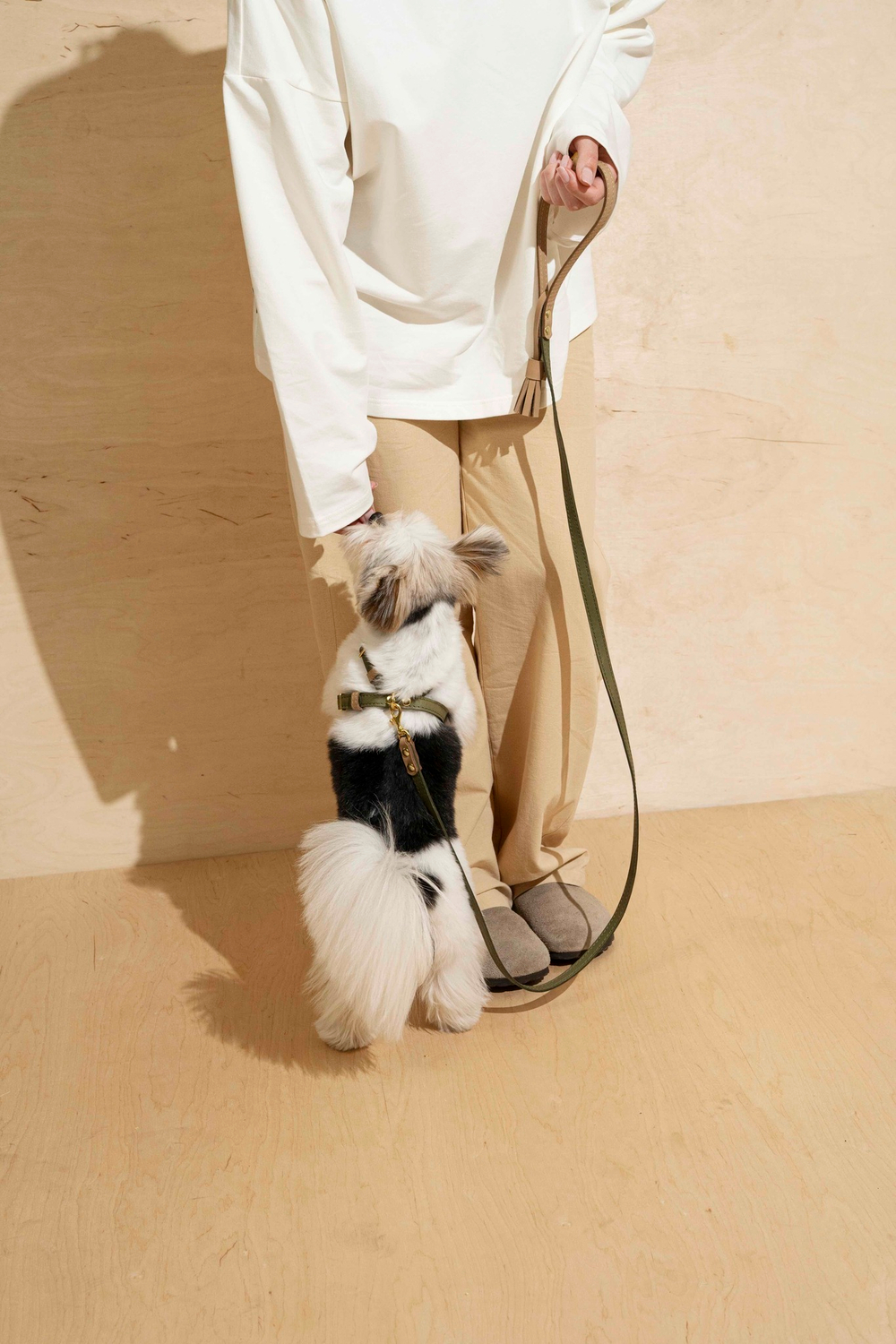 Шлейка "Пони-гулёни" Зеленый и бежевый