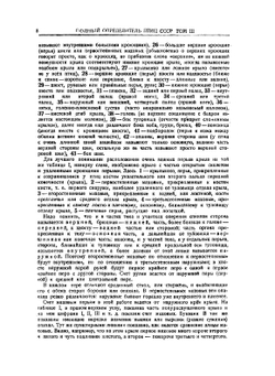 Полный определитель птиц СССР. Том 3. Трубконосые птицы, дневные хищные птицы. Совы. Дятловые птицы | С. А. Бутурлин