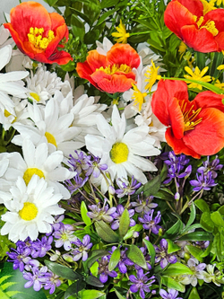 Ромашки и маки в длинном балконном ящике