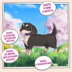 Сухой корм собак ZILLII (Зилли) Dog Adult Small Breed 15кг индейка и ягненок сухой для собак мелких пород