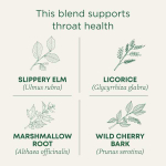 Traditional Medicinals, органическое средство для горла, оригинальный продукт со скользким вязом, без кофеина, 16 чайных пакетиков, 32 г (1,13 унции)