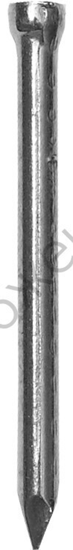 ЗУБР 20 х 1.6 мм, финишные гвозди, цинк, 100 гр (305316-16-020)