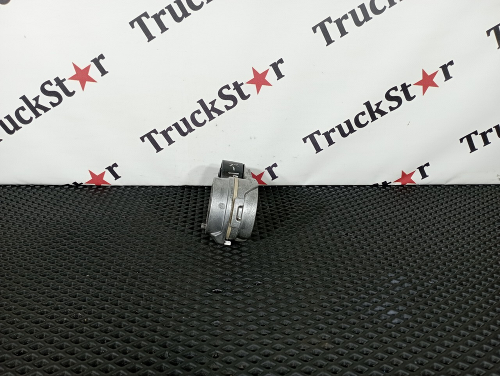 Ролик-натяжитель 2022г.