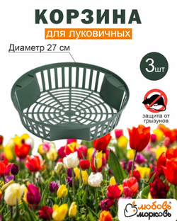 Корзина для луковичных растений 3шт