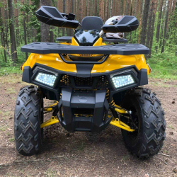 Квадроцикл MOTOLAND 200 Wild Track X