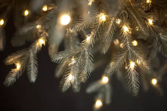 Ель Леара 185 см., 700 LED ламп, Литая хвоя+ПВХ, серебристая, Black Box (74451)