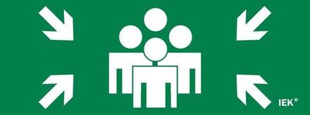 Этикетка самоклеящаяся 240х90мм "Место сбора" IEK LPC10-1-24-09-MSTS