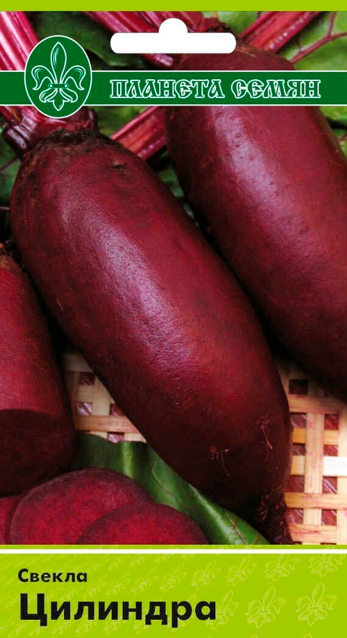 Свекла Цилиндра