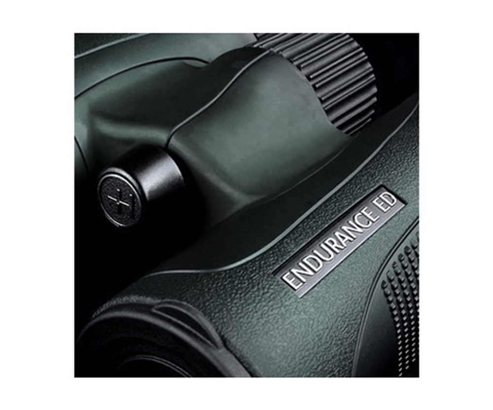 Бинокль Hawke Endurance ED 8x42 (Green)