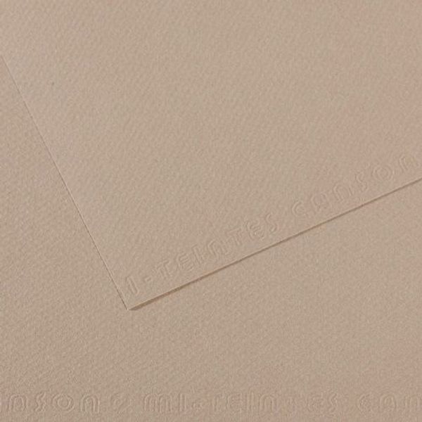 Бумага для пастели Mi-Teintes 160 г/м², 50х65 см, 10 л, №122 Серая фланель, Canson, C31032S095