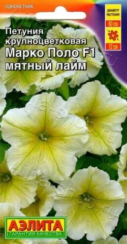 Петуния Поиск