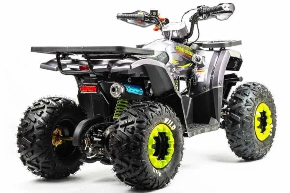 Квадроцикл Motoland 125 WILD (2020 г.)