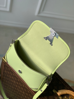 Louis Vuitton Buci Bag