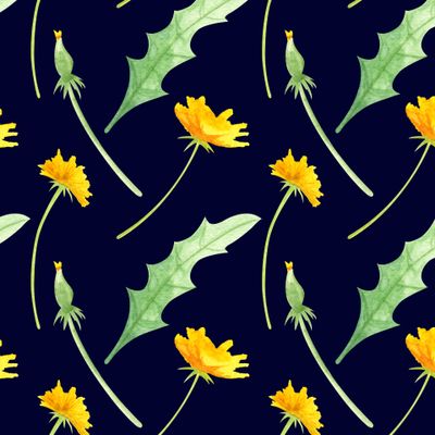 Одуванчики синий фон