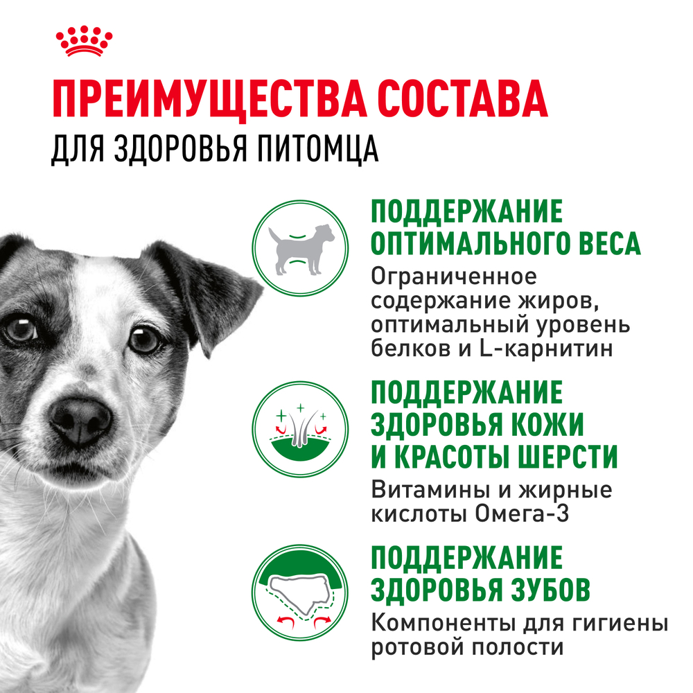 Royal Canin Mini Adult Корм сухой для взрослых собак мелких размеров от 10 месяцев - 8 кг