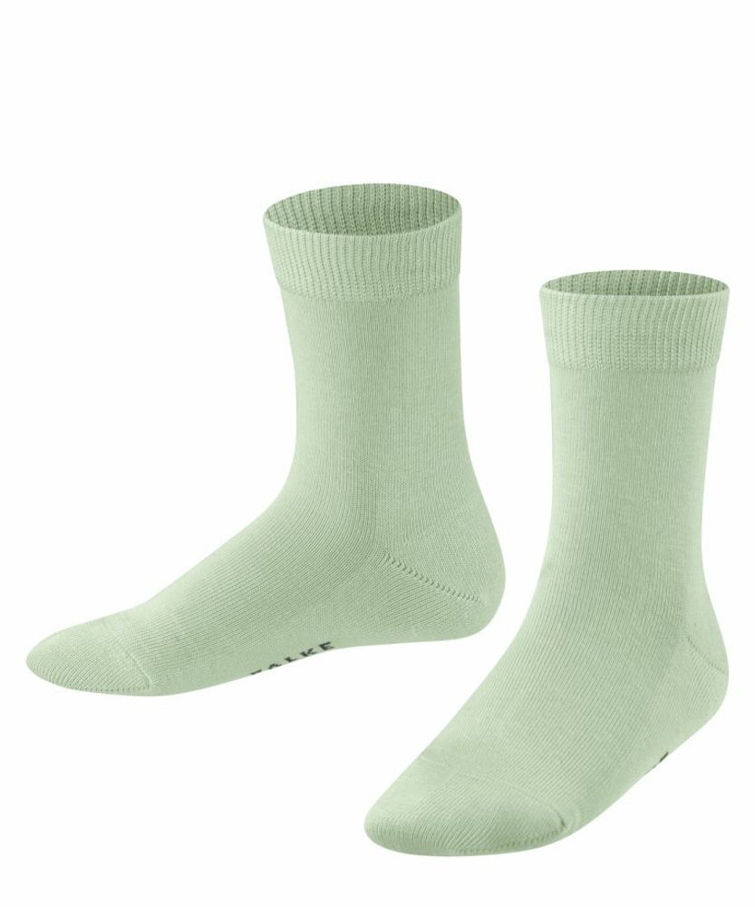 Носки Family FALKE 12998/7313