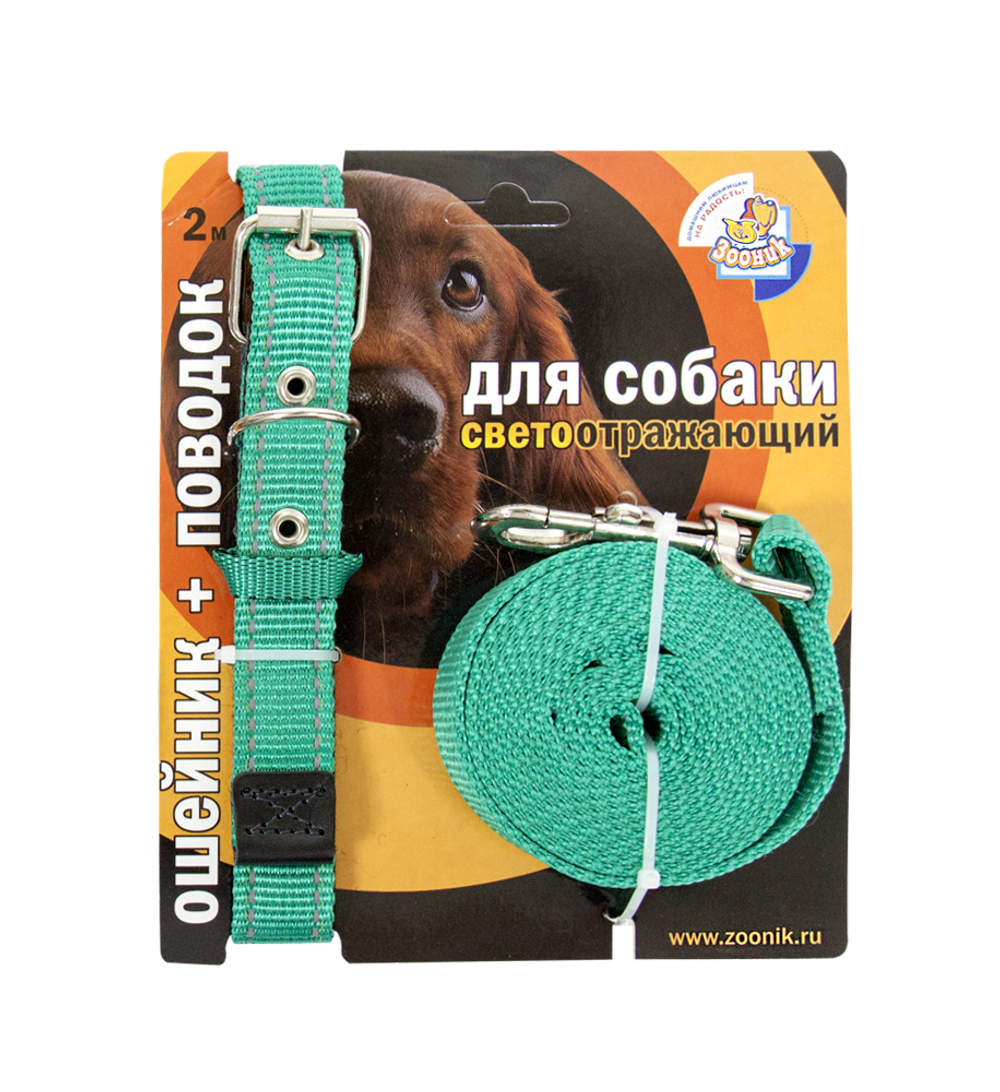 ZOONIK Ошейник (37-51 см) + поводок для собак, капроновая лента 25 мм, со светоотражающей полосой длина 3 м