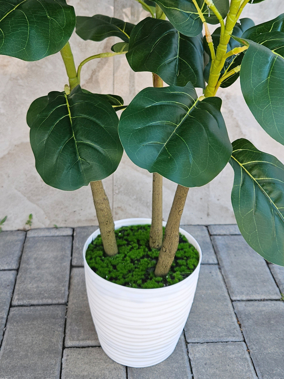 Искусственное растение Фикус Лирата зеленый 110см в кашпо