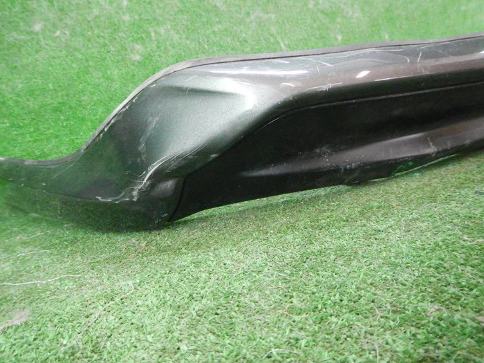 DSCN6319.JPG