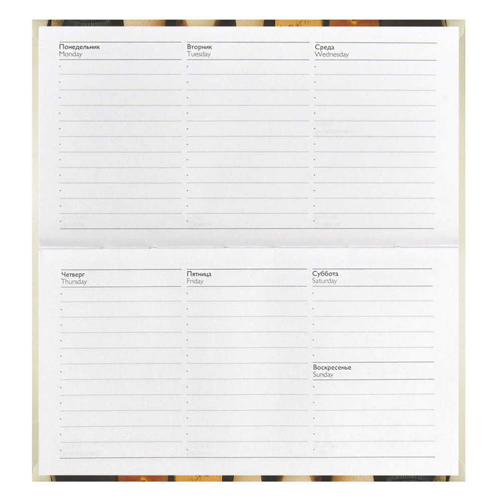 Еженедельник недатированный 171*93 мм ЭСКАЛАДА Веселые коты (71568)