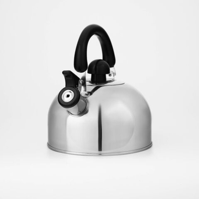 Чайник со свистком из нержавеющей стали Доляна «Чёрная ночь», 2 л, цвет хромированный (Цвет: не задано)