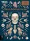 Anatomicum