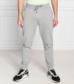 спортивные штаны aldwin GUESS ACTIVE - серый(Z2YB22 K9V31)