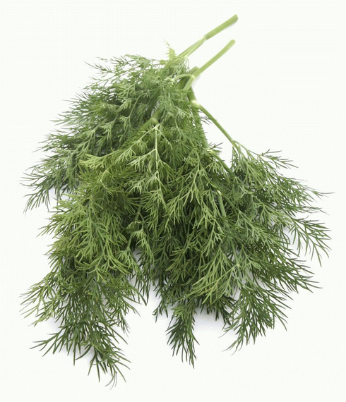 Амазон семена укропа (Гавриш) – фото 1