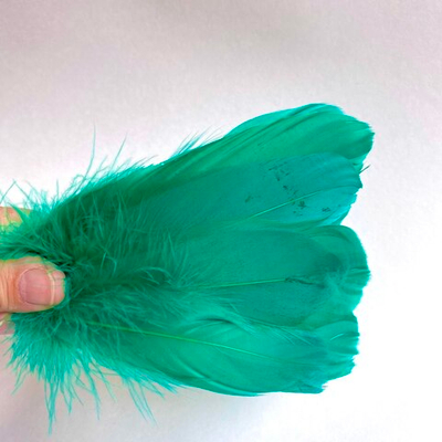 Гусиные перья нефрит 2 сорт 20 шт.