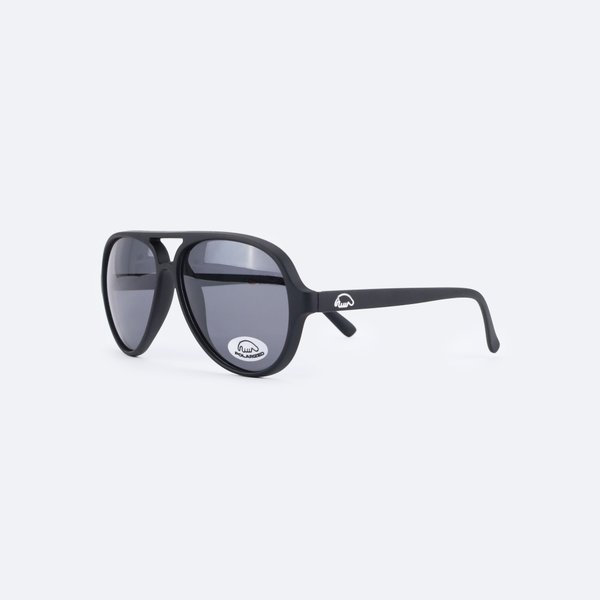 Очки Anteater Aviator (black) артикул: - купить в магазине Дайс