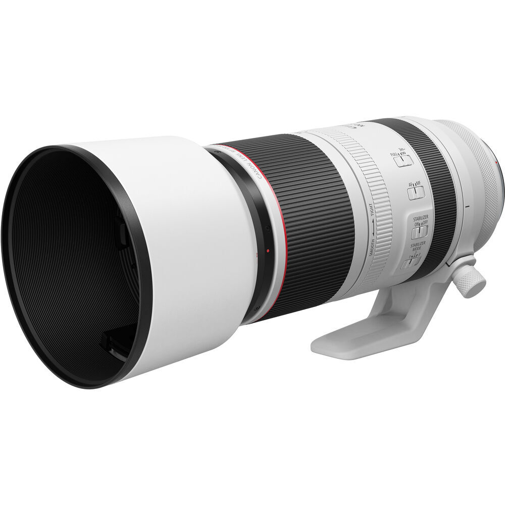 Canon RF 100-500 f/4.5-7.1 L IS USM