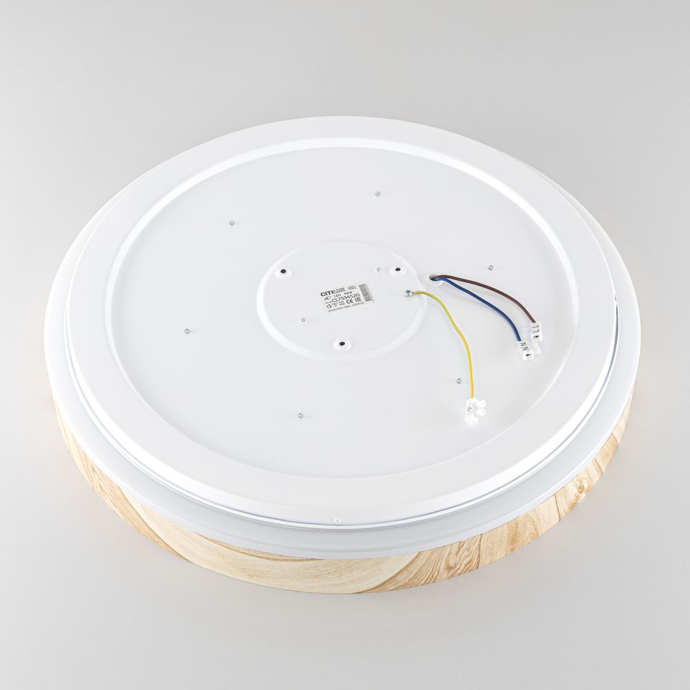 Citilux ENZO CL753452G LED RGB Светильник с пультом Клён