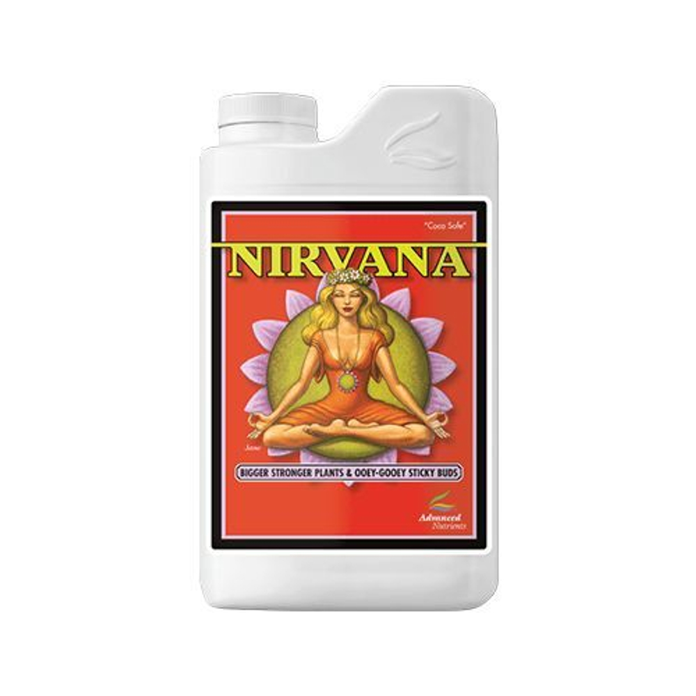 Nirvana