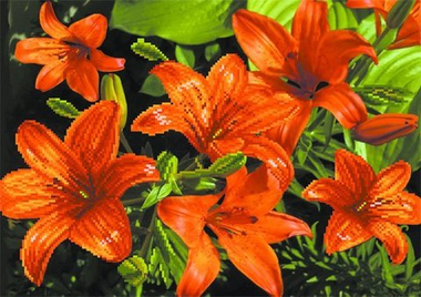 "Оранжевые лиллии"-4085 ткань с нанесенным рисунком