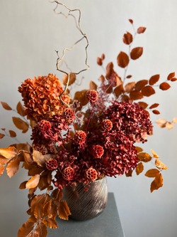 Композиция в кашпо Леукадендрон