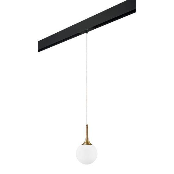 Комплект с трековым светильником Lightstar Globo (813012+595007) PRO813012