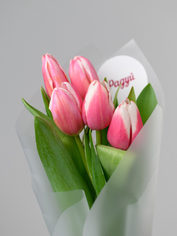 Тюльпаны микс