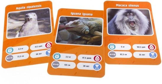 Настольная игра Это факт! Зоопарк