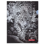 Папка-уголок BRAUBERG "LEOPARD" А4 150 мкм цветная печать (12 штук в упаковке)