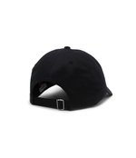 кепка Tommy Jeans - черный(AM0AM11341)