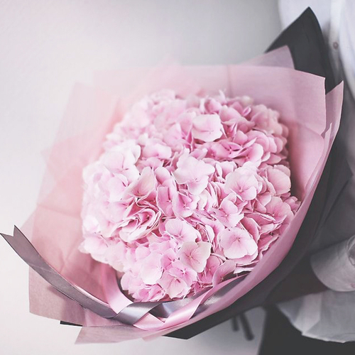 Купить Букет розовых гортензий "Мой ангел"