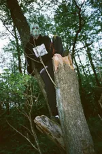 Худи Алавир