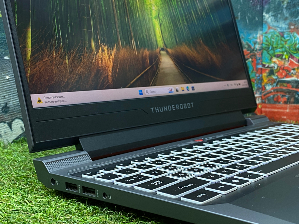 Игровой ThundeRobot 15' i5-12450H/RTX 4050 6GB/IPS 165 Гц/16GB/512GB/ 911 X Wild Hunter G2L[JT009500ERU]/Windows 11