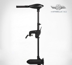 Электромотор Haswing Osapian 30