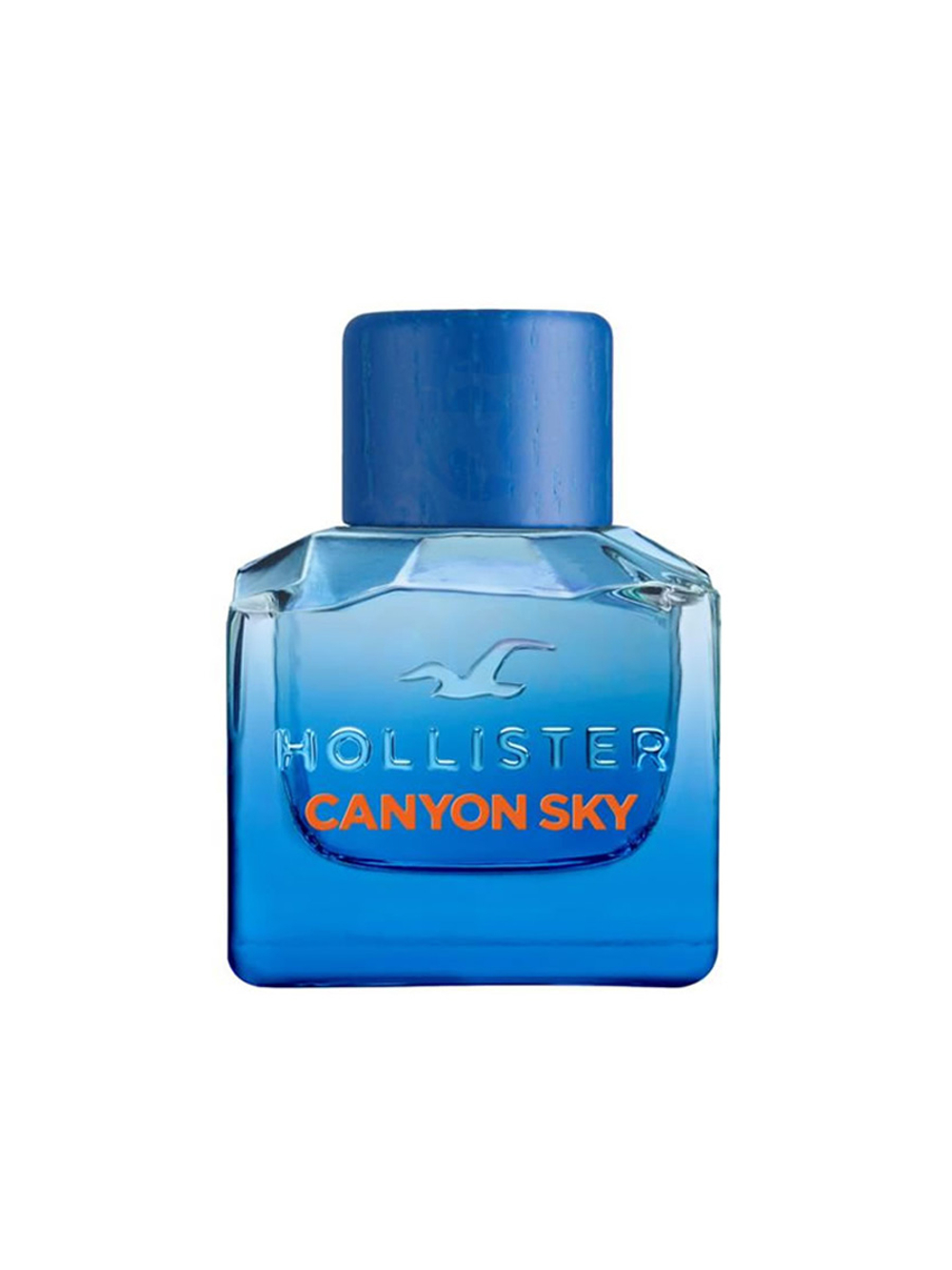 HOLLISTER CANYON SKY men 50ml edt NEW