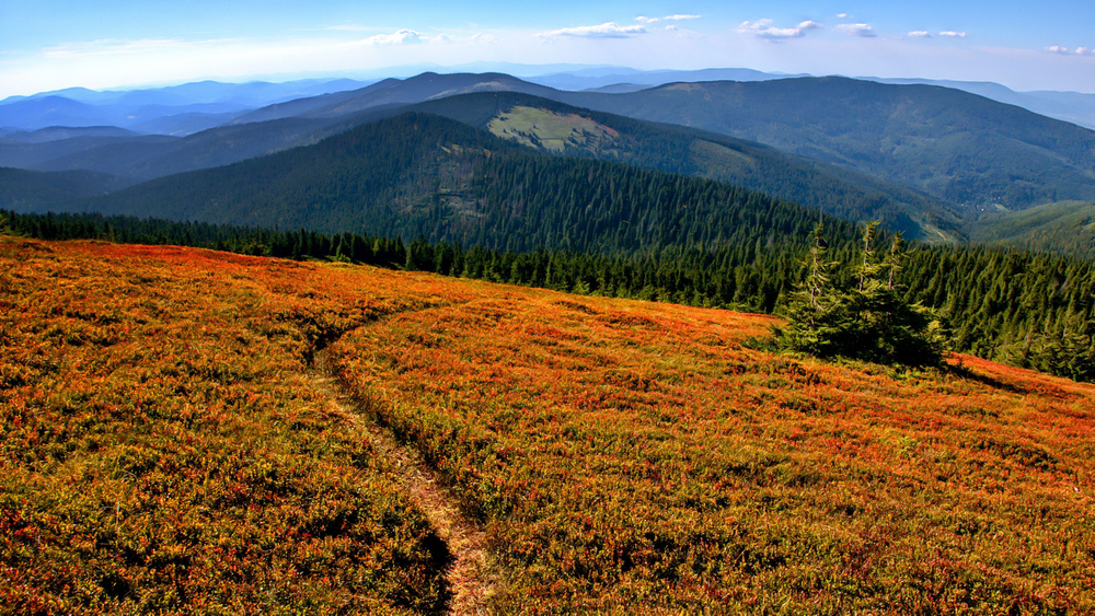 Под удаление